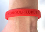Lupus Charity Bracelet Image