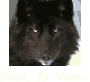 Back To Home Link