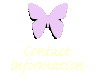 Contact Information Link