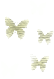 Butterfly Image